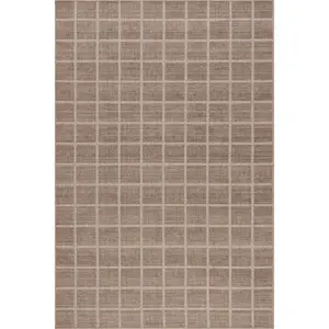 Daena Checkered Machine Washable Area Rug