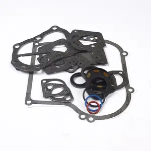 Briggs & Stratton 495603 Engine Gasket Set