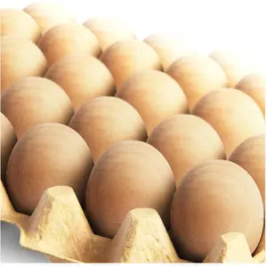 24-Piece Wooden Eggs - Life-Size Reusable Fake Easter Eggs for Painting, Crafting, Nest Box Training (Home & Festive Decor Supplies)