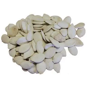 Pumpkin Seeds Roasted & Salted In Shell