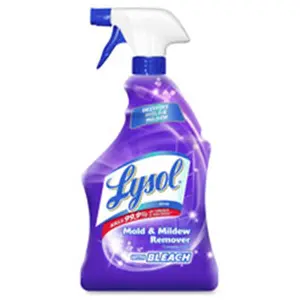 212 MAIN Lysol Mold-Mildew Remover (RAC78915CT) - Stainless Steel, EPA Registered, Fast-Acting Household Vinyl Cleaner