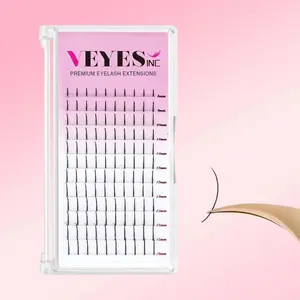 Veyes Premade Lash Extension Spikes 0.07 C 8-16mm