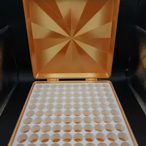 Golden Dreams Edition 3ml Peptide Storage Container Secure Stylish Makeup Box Organizer Dividers for Peptides GLP-1s & More