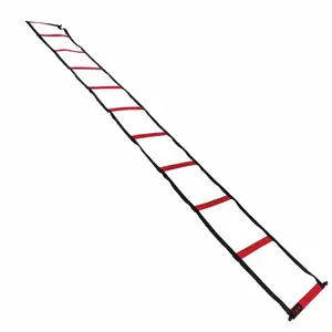 Agility Ladder Cardio and Balance drills