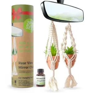 2 Pcs Set Hanging Succulent Pots with Essential Oil And Artificial Succulents