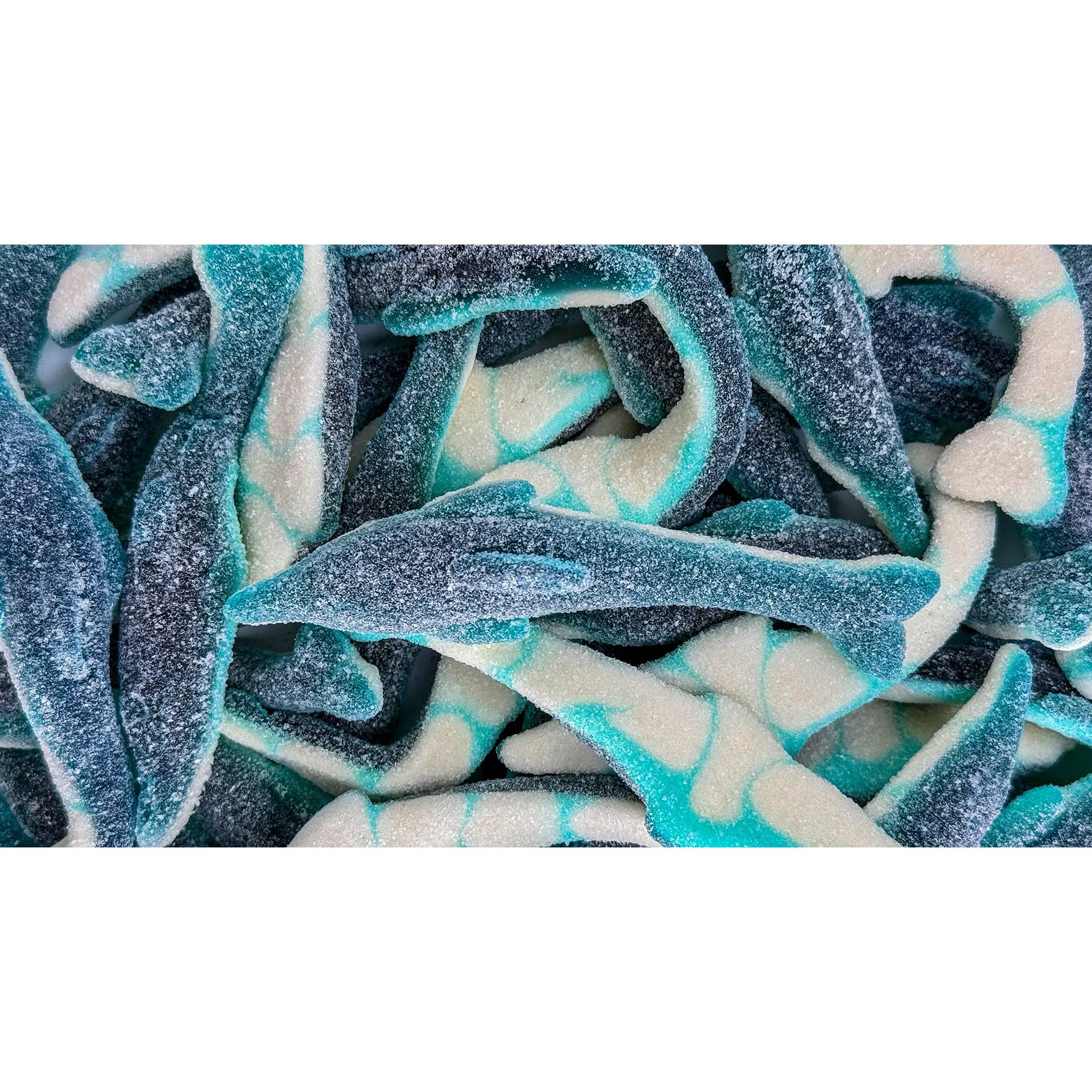 Giant Sour Dolphins Giant Sour Dolphins