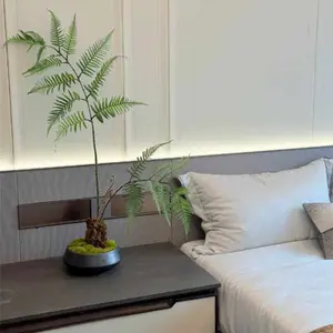 Hydroponic Container Acorus Plant Pot, Hydroponic Orchid Tray, Japanese Snack Dry Fruit Plate, Tall Resin Flower Pot