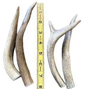 Antler Chews for Dogs: Mini Size 4 Pack - Natural Chew for Dogs up to 30 Pounds - Available in Various Cuts - Free from Chemicals and Additives