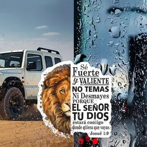 Lion & Letter Pattern Car Sticker, Car Exterior Decorative Sticker, Vinyl Sticker for Car, Laptop, Motorcycle, Water Bottle, Notebook