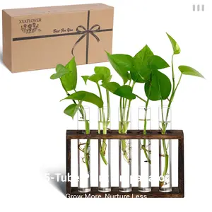 5-Tube Plant Propagation Station Minimalist Wooden Stand Test Tube Planter Gift for Plant Lovers Ideal for Gardeners and Hobbyists
