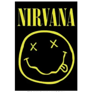 Nirvana Concert Poster 30x40 inches – Tapestry/Flags