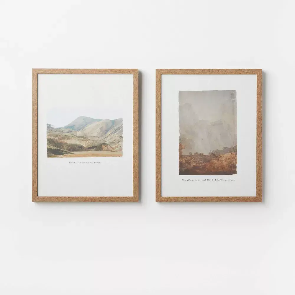 (Set of 2) 16" x 20" Glass Textbook Framed Prints - Threshold designed with Studio McGee: Traditional Wall Art Polystyrene Frame