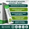 Nature's Sunshine Chlorophyll Stick Packs: Lime Twist. Your Daily Detox- Reduce Bloat, Control Odor, Clear Skin, Boost Energy, Support Digestion Nutrition Healthcare