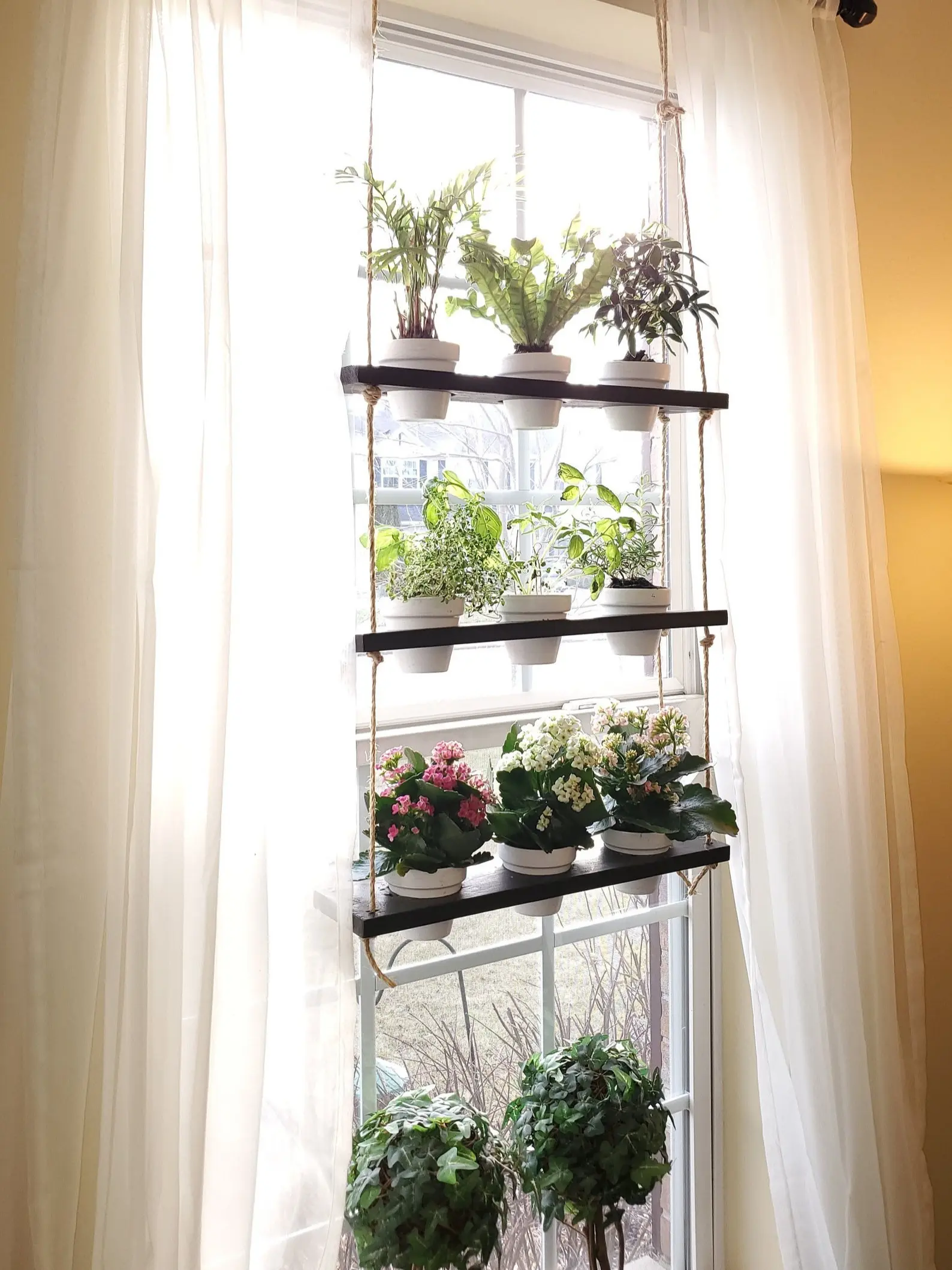 Hanging Window Plant Shelf – Sun-Loving Space-Saver for Your Indoor Jungle