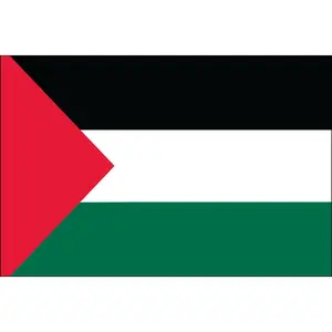 Palestine 2ft x 3ft Indoor Polyester Flag