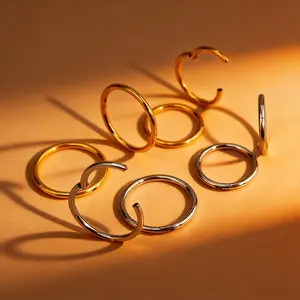 20G Hinged Segment nose ring 316L Surgical Steel Rings septum gold gift ornament piercings  kits