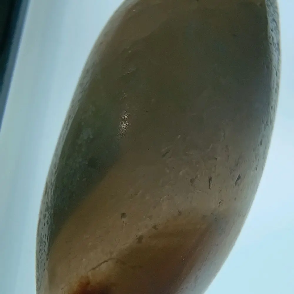 Petrified Palm Wood Cabochon - 35M-Year-Old Fossil Agatized Crystal Jewelry Component, Sourced from Austin, Texas