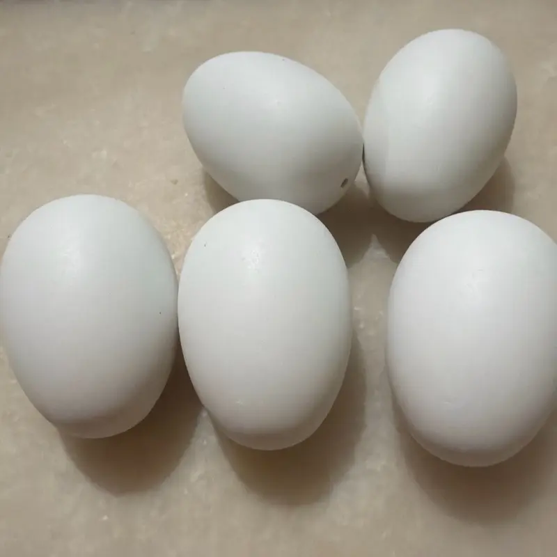 5 Huevos Falsos / 5 Fake Eggs 5 Huevos Falsos / 5 Fake Eggs