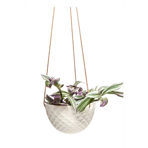 Mini Mofo Porcelain Modern Hanging Planter