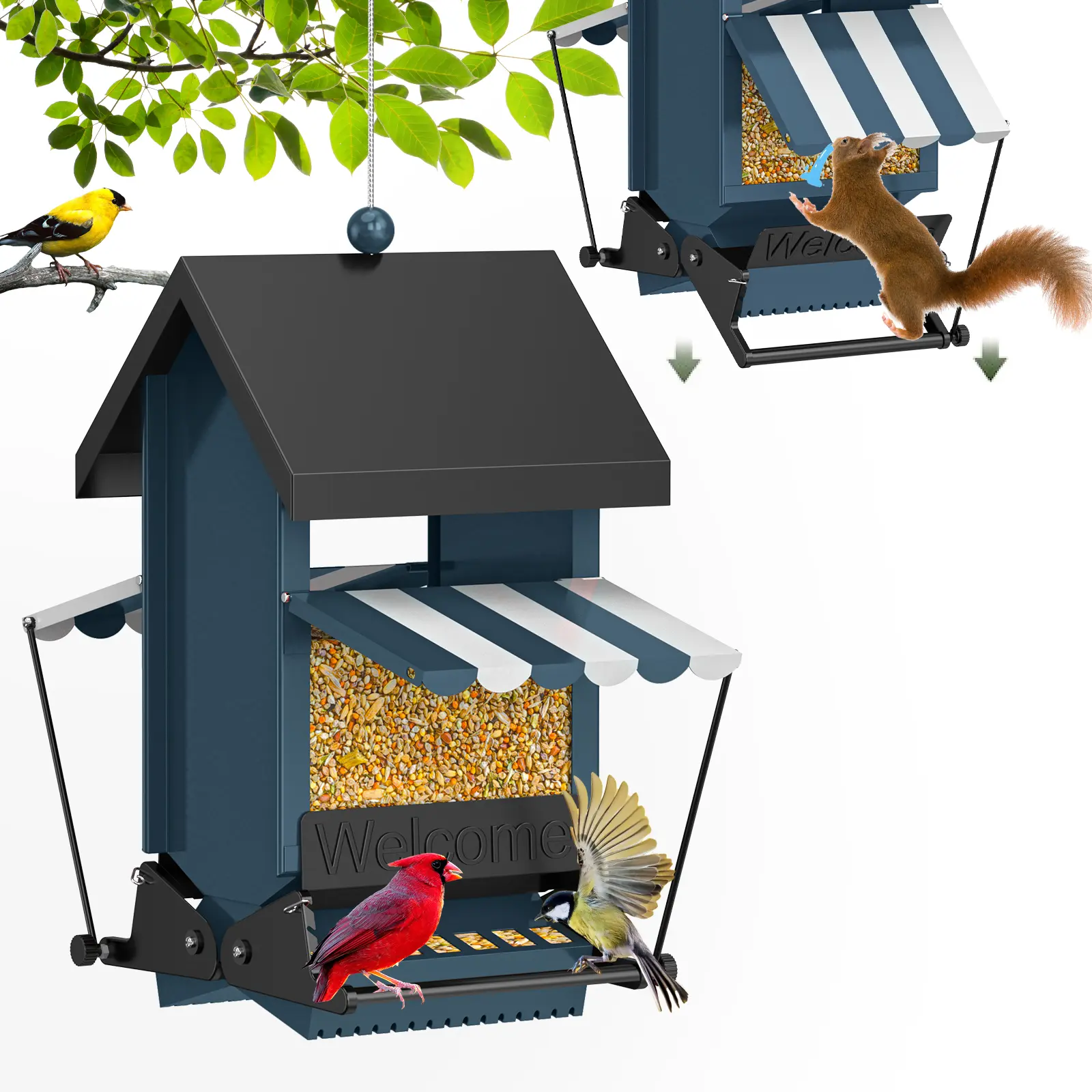 ScinDa Squirrel Proof Bird Feeder by Wildpark - Outdoor Bird House for Bird Watching, Attracts Many More Birds! Durable Courtyard Decoration & Mother‘s Day Gift Idea for Garden Moms.