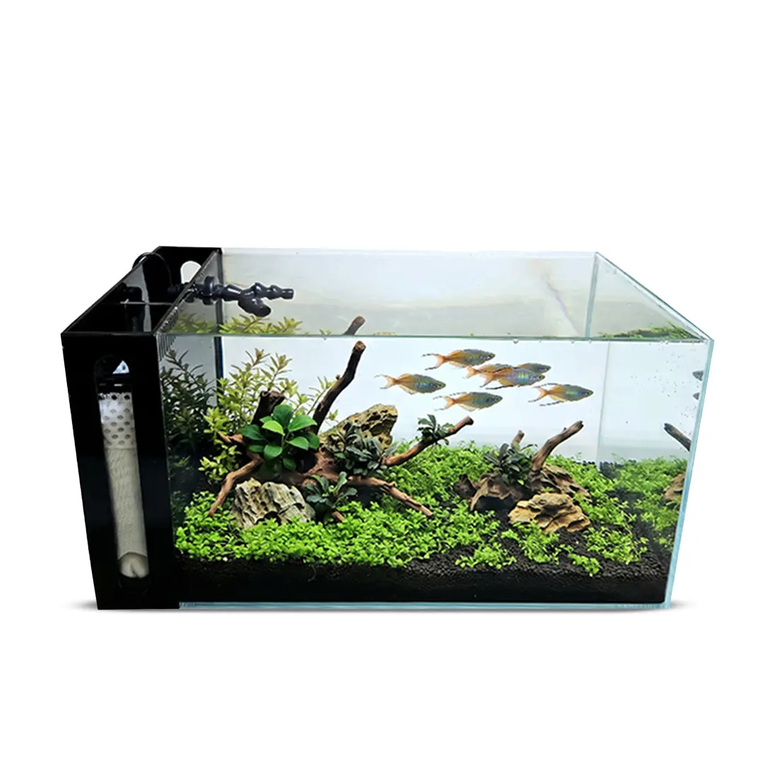 Ultra Low Iron Glass CRYSTAL Aquarium with Built in Side Filter