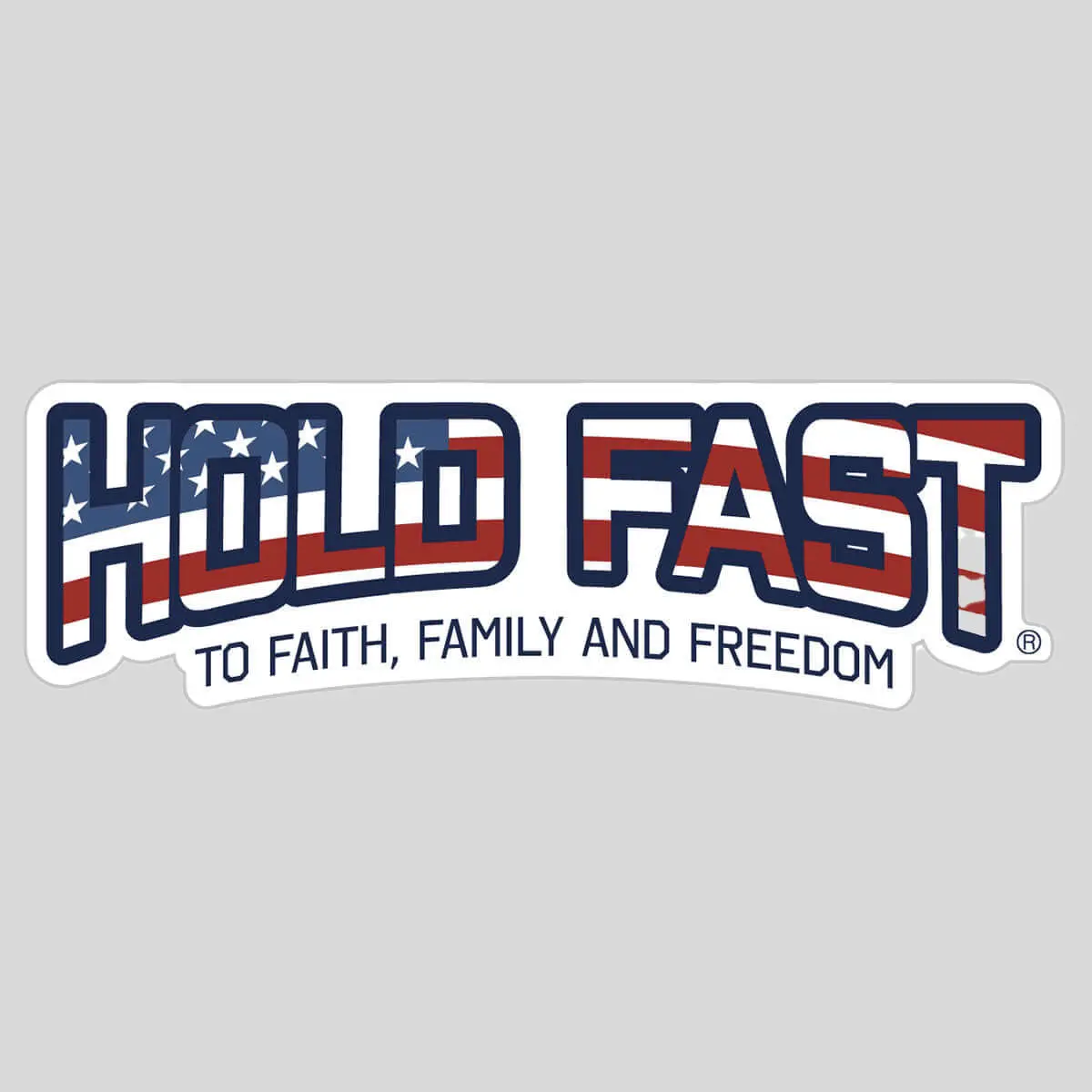 HOLD FAST Flag Fill Adhesive Decorative Stickers, 4"x1.25" Patriotism Slogan Sentimental Message Stickers for Bike, Laptop, Water Bottle (DIY Scrapbooking & Stamping Supplies)