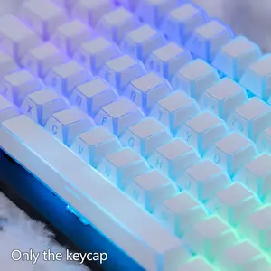 Keyboard Keycap Side-Printed Backlit PBT Keycap Set, CHERRY Profile With Full Edge Glow, MX Switch Compatible For Mechanical Keyboards (Ideal For Gaming & Office, Keycaps Only, Keyboard Not Included)