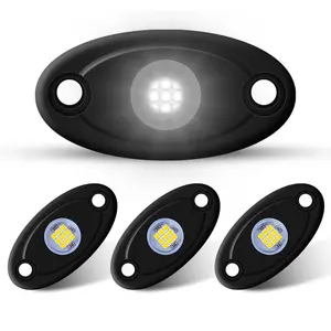 Rock Lights Rock Lights