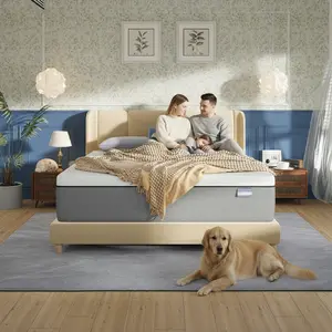 【Support+ Series】Fansace 9.7 inch Queen size gel memory foam mattress,washable breathable cover mattress for Pressure Relief & Back Pain,Pillow Top Mattress night trial luxurious sleep Gel Memory Foam QueenKing Mattress Breathable Memory Foam Mattress