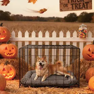 Bedsure Washable Dog Crate Pad, Flat Kennel Dog Bed for Crate, Ultra Soft Fleece Pet Sleeping Mat with Non-Slip Bottom Puppy Home