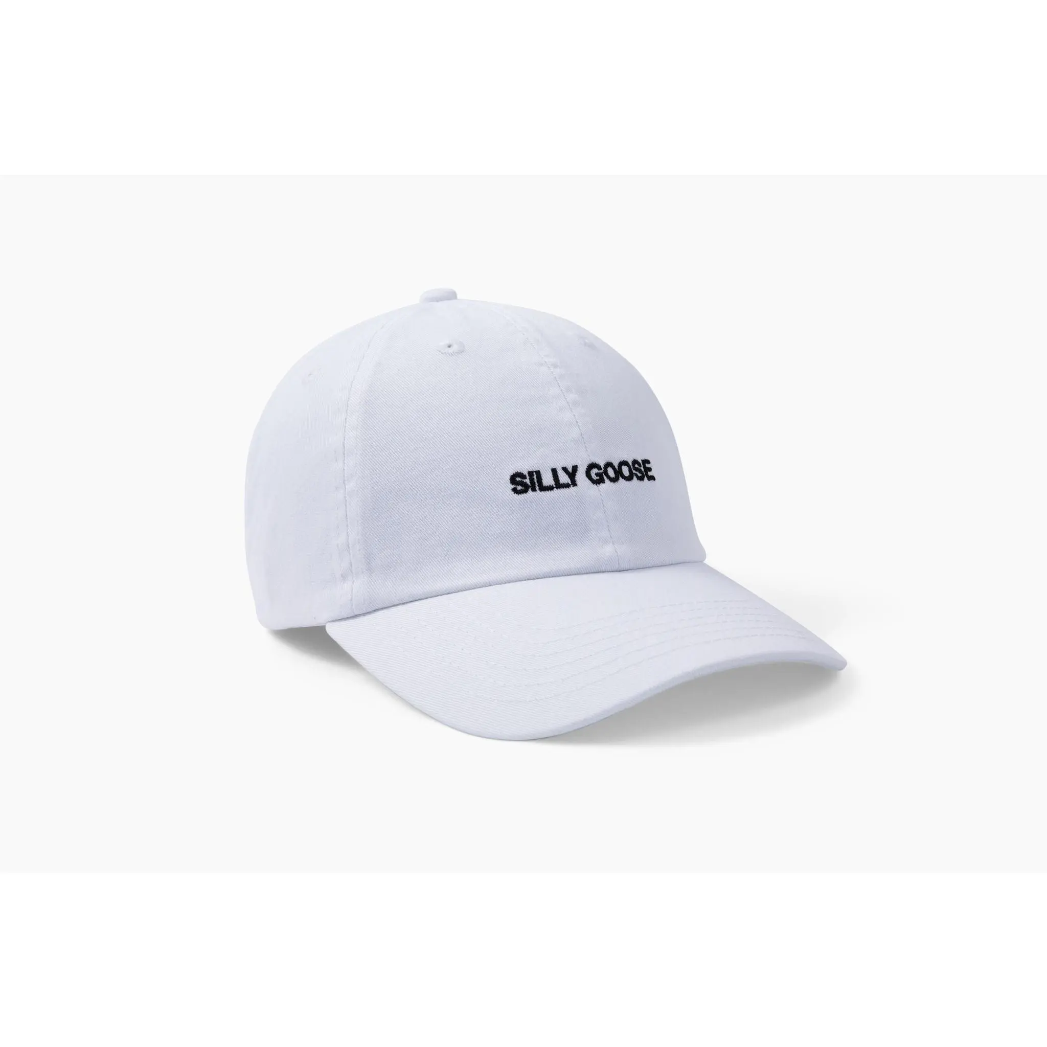 Silly Goose Hat