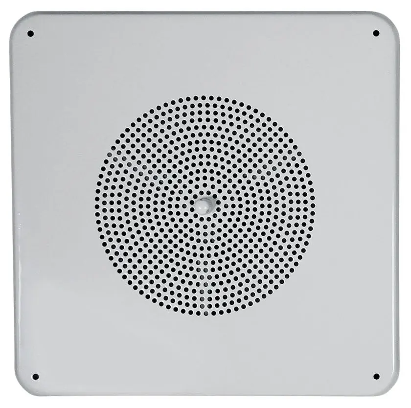 MS81 SINGLE SPEAKER