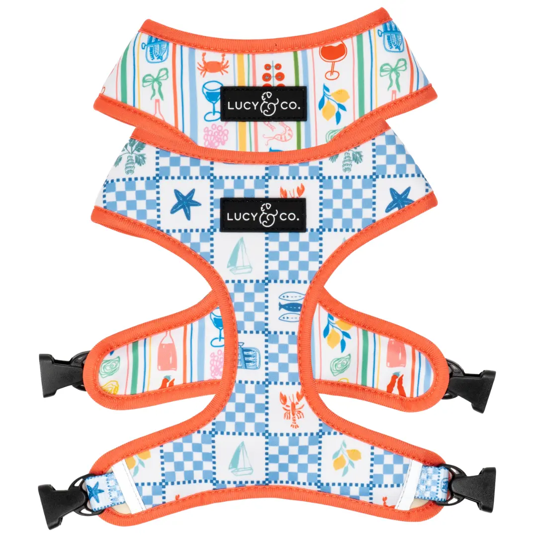 Sunny in Sicily Reversible Harness