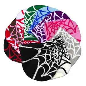 BEANIE SPIDER WEB