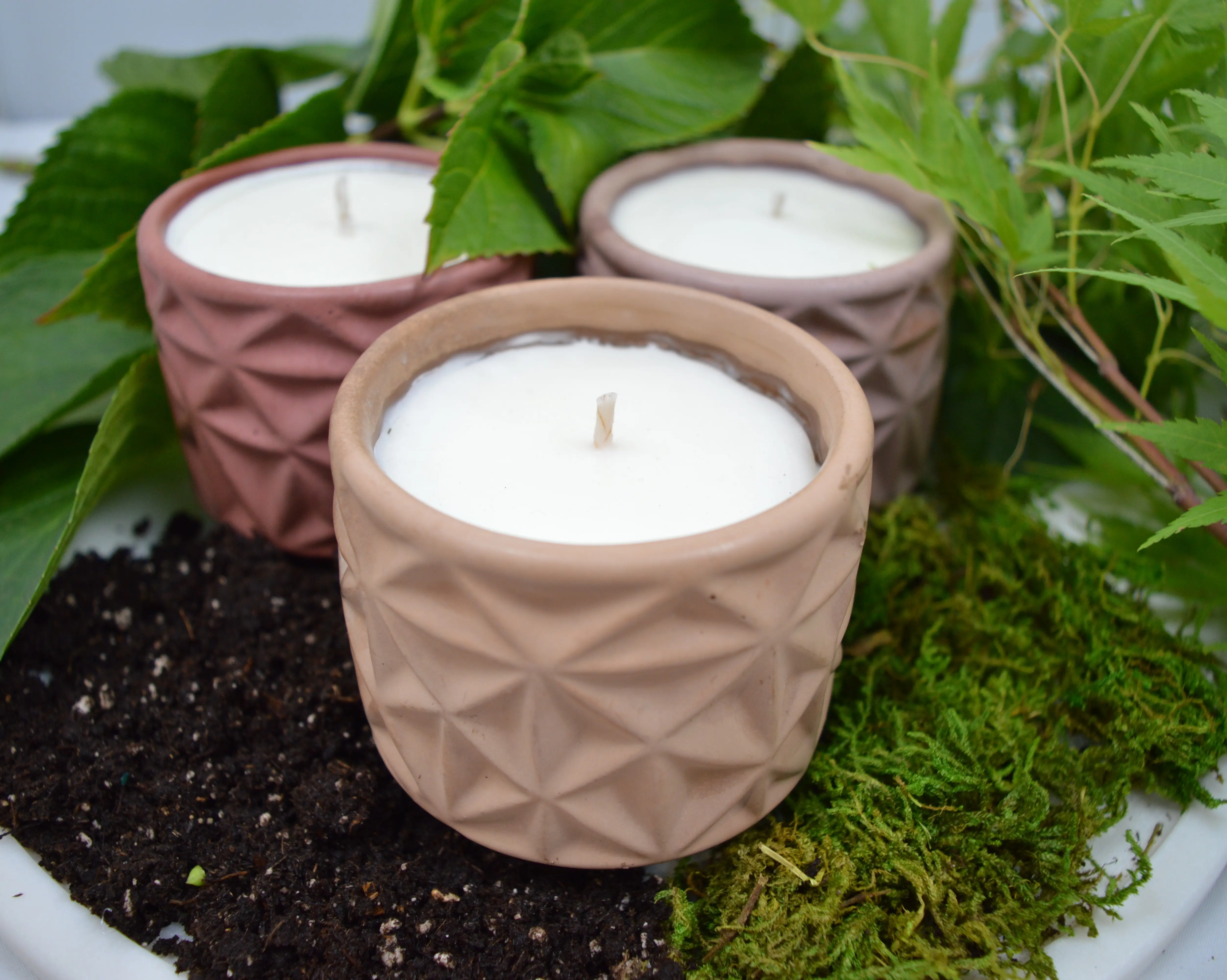 Concrete Plant Candle - 100% Soy Wax