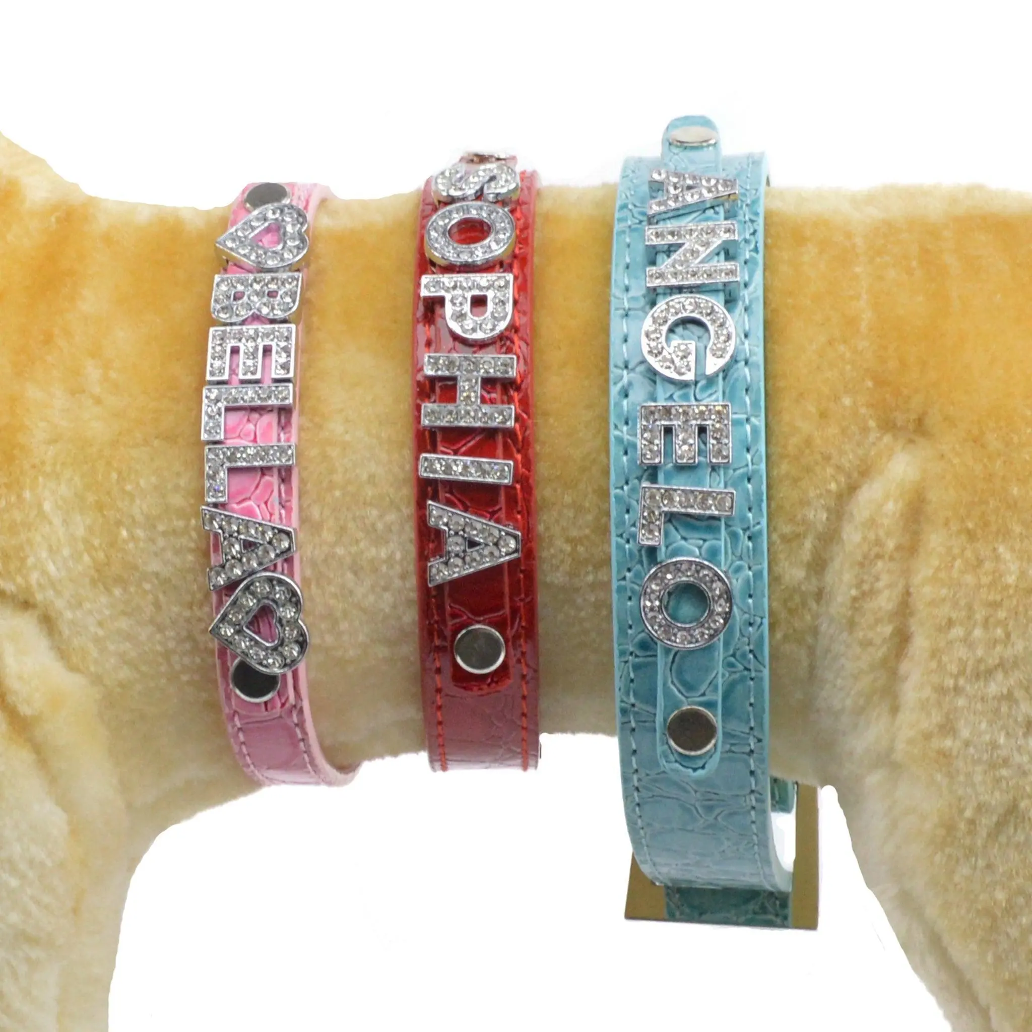 Personalized Custom Dog Cat Name Collar