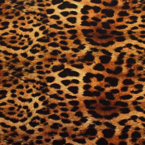 Leopard Spotted Safari Printed Spandex Fabric | Blue Moon Fabrics Leopard Spotted Safari Printed Spandex Fabric | Blue Moon Fabrics