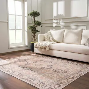 Nadia Dust Pink Area Rug