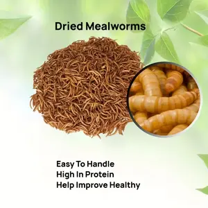 Premium Dried Mealworms - High Protein Treat for Chickens, Wild Birds, Ducks, Turtles & Hamsters | All-Natural Pet Food