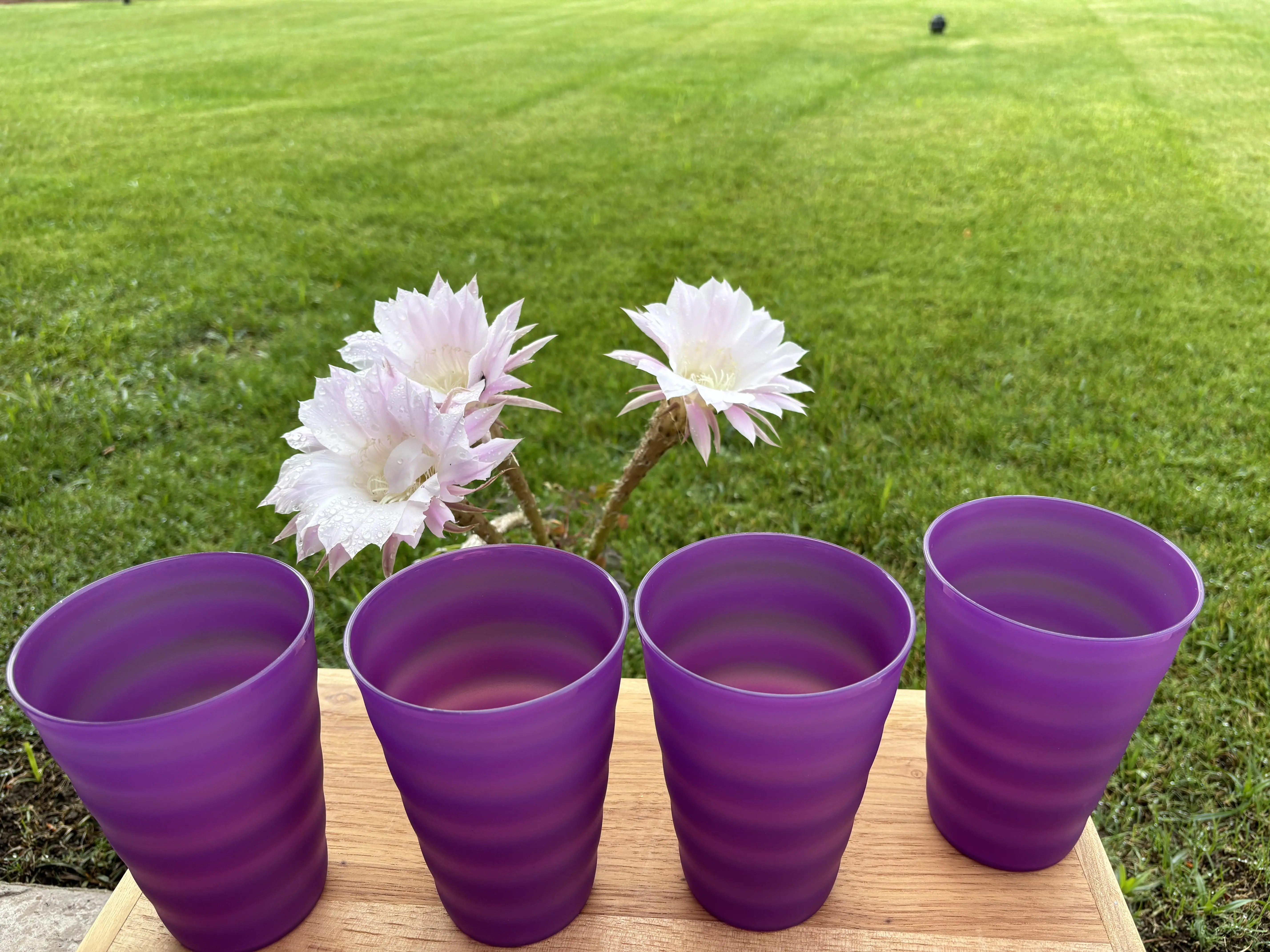 Set de 4 vasos grandes color morado 500 ml