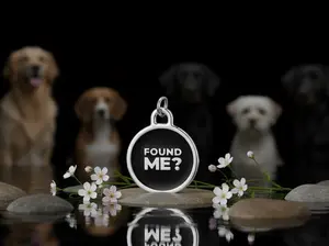 FOUND ME Stainless Steel Dog Tag with Smart QR Code for Secure Alerts & Multilingual Profile Durable Waterproof for Pet Safety