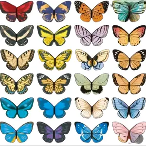 Butterfly Magnetic Bookmarks decorative bookmark