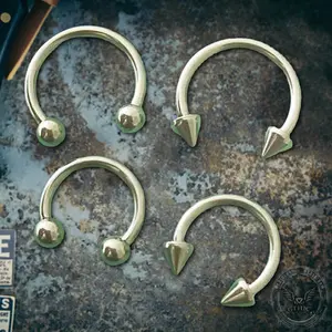 GTHIC 2 Pcs Horseshoe G23 Titanium Nose Ring Set Fashion Piercing Jewelry for Men Women Daily Wear