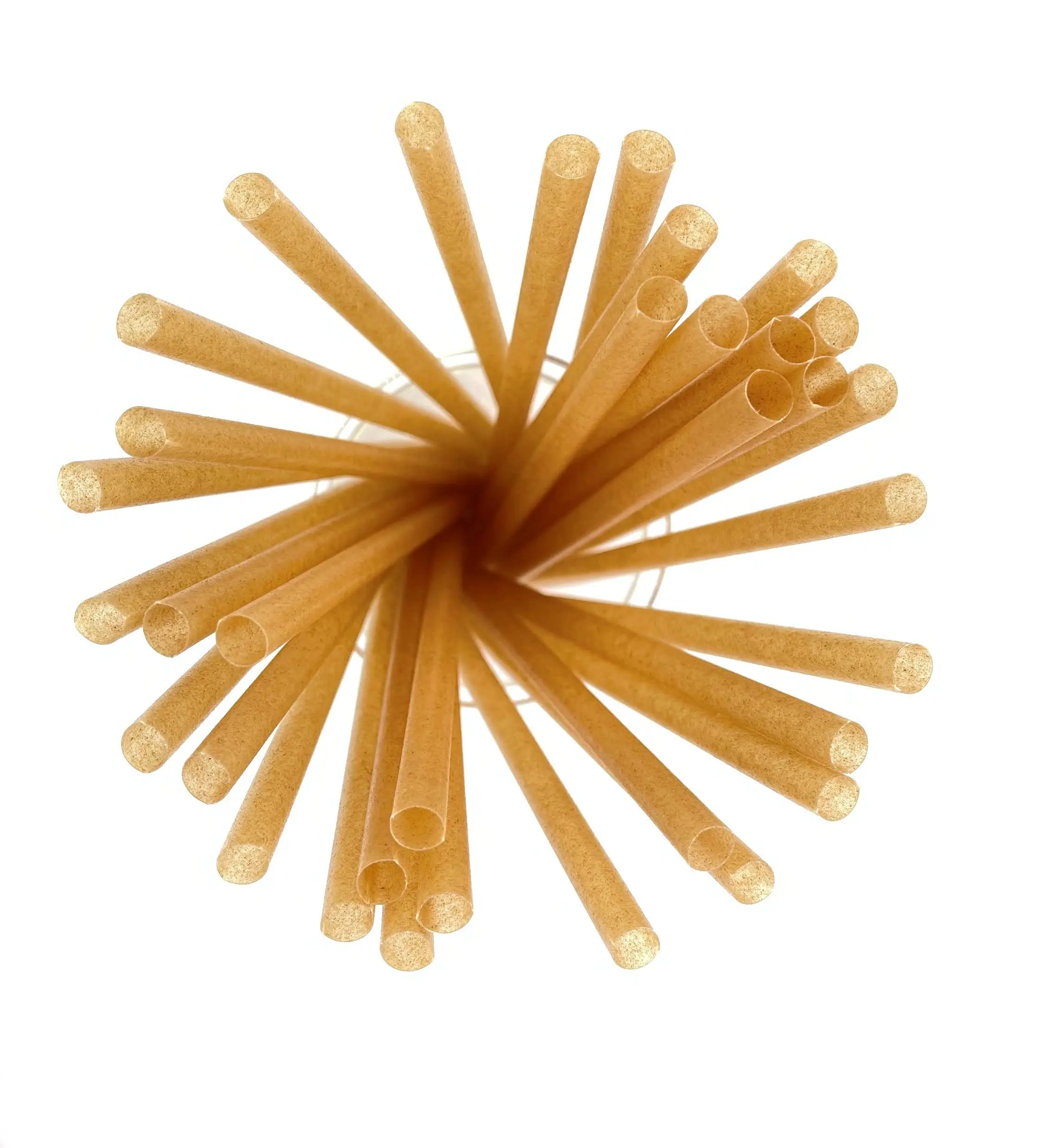 Disposable Sugarcane Straw (50 straws) Disposable Sugarcane Straw (50 straws)