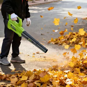 COZONY 20V Cordless Leaf Blower, 550 CFM 130 MPH, 6-Speed, 2 Batteries & Charger