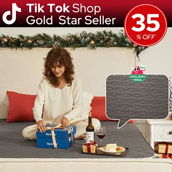 【BEDLORE】Big Copper Coins Waterproof Mattress Protector, 6-18'' Deep Pocket Mattress Pad, Soft Dirt-Proof Bedroom,Collage Dorm,Hotel