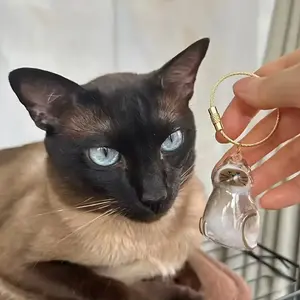 [Plush Gifts]Kitten Transparent Hair Storage Box Multifunctional Keychain Cute Animal Hairball Capsule Pendant Keychain Decorative Commemorative Storage Box Gift, suitable for various occasions as a gift for friends and family