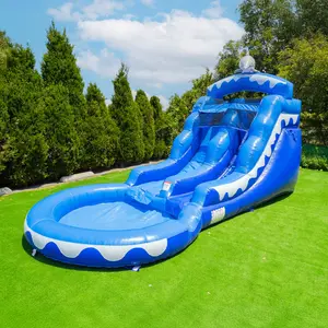 13' Dolphin Water Slide with Pool