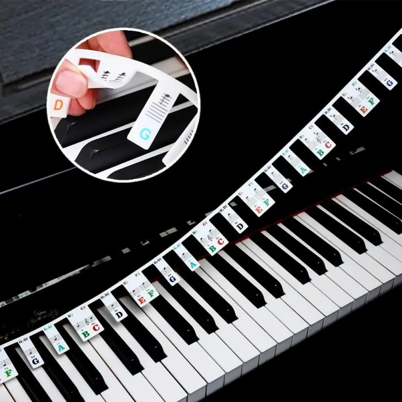 Colorful Removable Design Easily Detachable Piano Keyboard Note Labels, Silicone Material Piano Notes Stickers Guide for Beginner, Ideal for Beginners, Beginner Friendly, Reusable 61/88 Key Full Size Keys Piano Key Music Notes Letter Label
