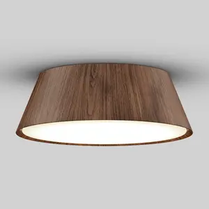 Dunham 15 in. LED flush mount light 5 CCT